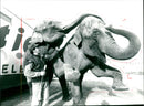 Zoo animals: elephants - Vintage Photograph