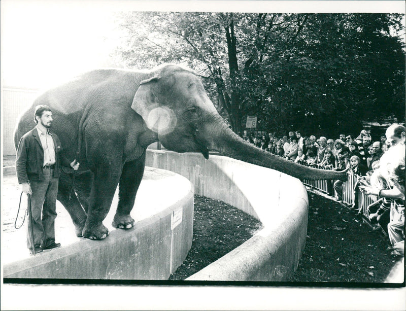 ELEPHANT ANIMALS PYRIGHT TEL MERO MINGERSTR STADTSPAAK HANAU BLZ - Vintage Photograph