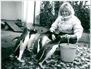 1993 penguins in the exotarium - Vintage Photograph