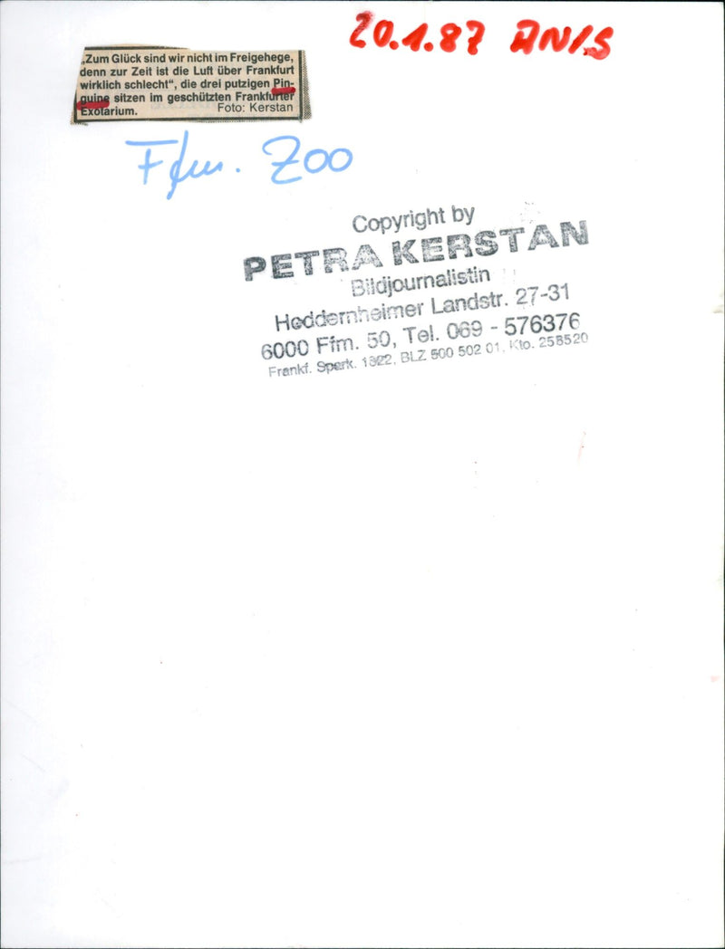 1987 Frankfurt Zoo - Vintage Photograph