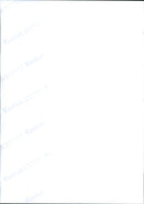 1999 BUNDLES CARTIER MUSIC COOP CHANEL KATHARINA INTERNATIONAL - Vintage Photograph