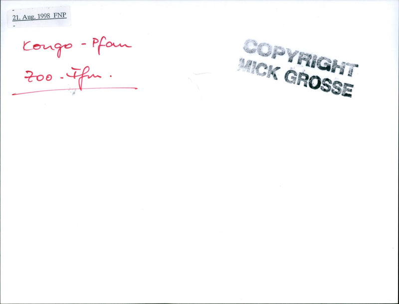 Peacock from Frankfurt Zoo - Vintage Photograph