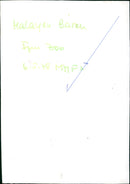 Zoo animals: bears - Vintage Photograph