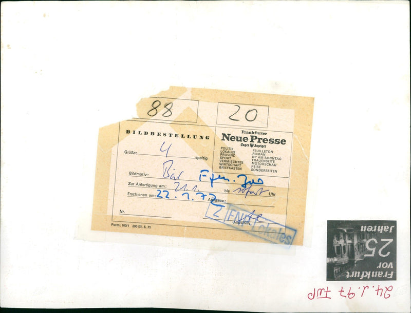 Zoo animals: bear - Vintage Photograph