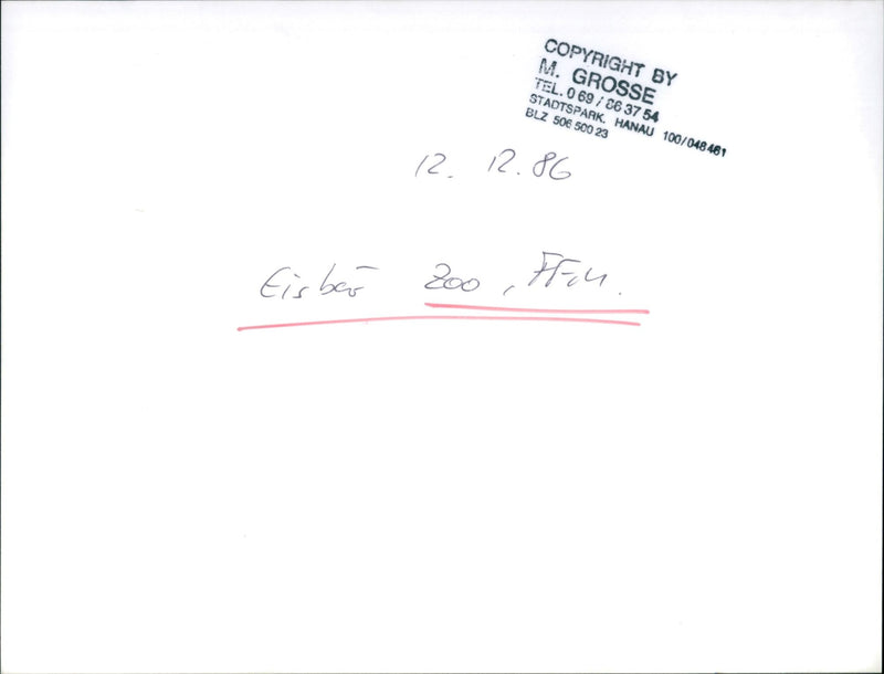 1986 ANIALS BAREN EISBAREN TEL STADTSPARK HANAU GROSSE - Vintage Photograph