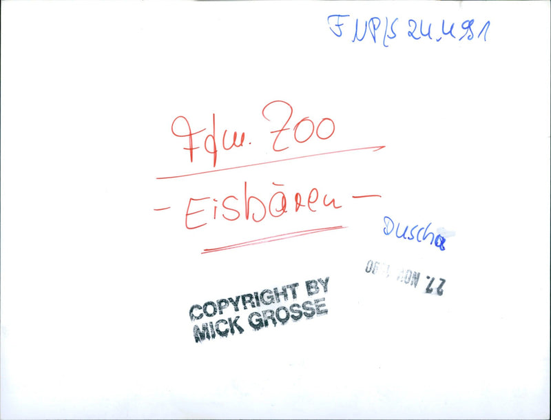 ANIMALS FUPIS FLUE ZOO ICEBAR SHOWER OST MICK - Vintage Photograph