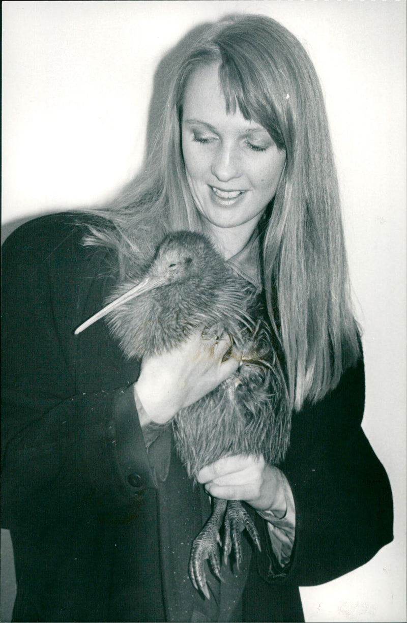 1989 BIRD KIWI ANIMALS KERIANA GIFT EARTH HOLLOWS APPROACHES MAW - Vintage Photograph