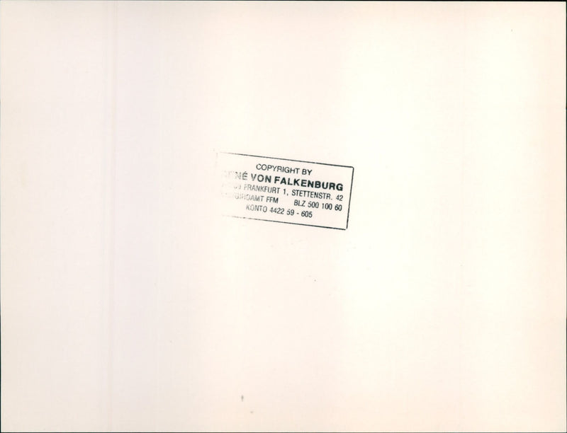 Flamingos - Frankfurt Zoo - Vintage Photograph