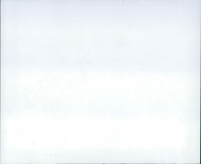 1990 MEET GIRAFFE HER WAITER FRANKFURT ZOO HEN AND - Vintage Photograph