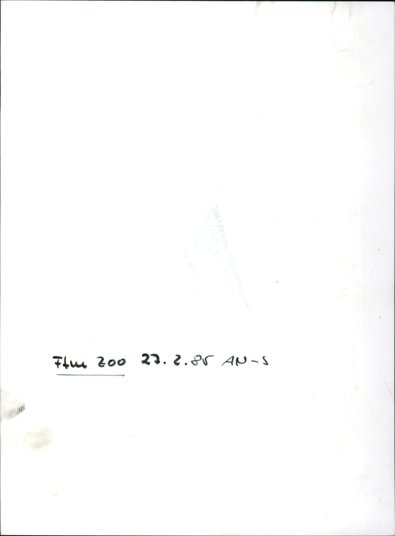 PLUS ZOO HEN AND ZOOHEN - Vintage Photograph