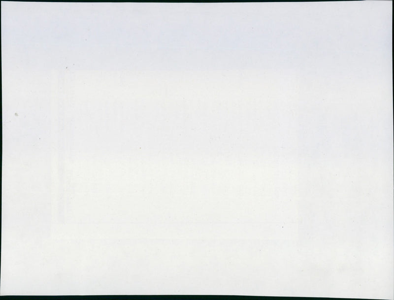 1994 FRANKFURT ZOOS GIRAFFE BABY PROTECTED RUMBLE OLD - Vintage Photograph