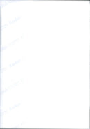 1999 GIRAFFE MONIQUE CLEANS HER THREEMONTH OLD ZOGLING FAHARI FRANKFURT LAMA - Vintage Photograph