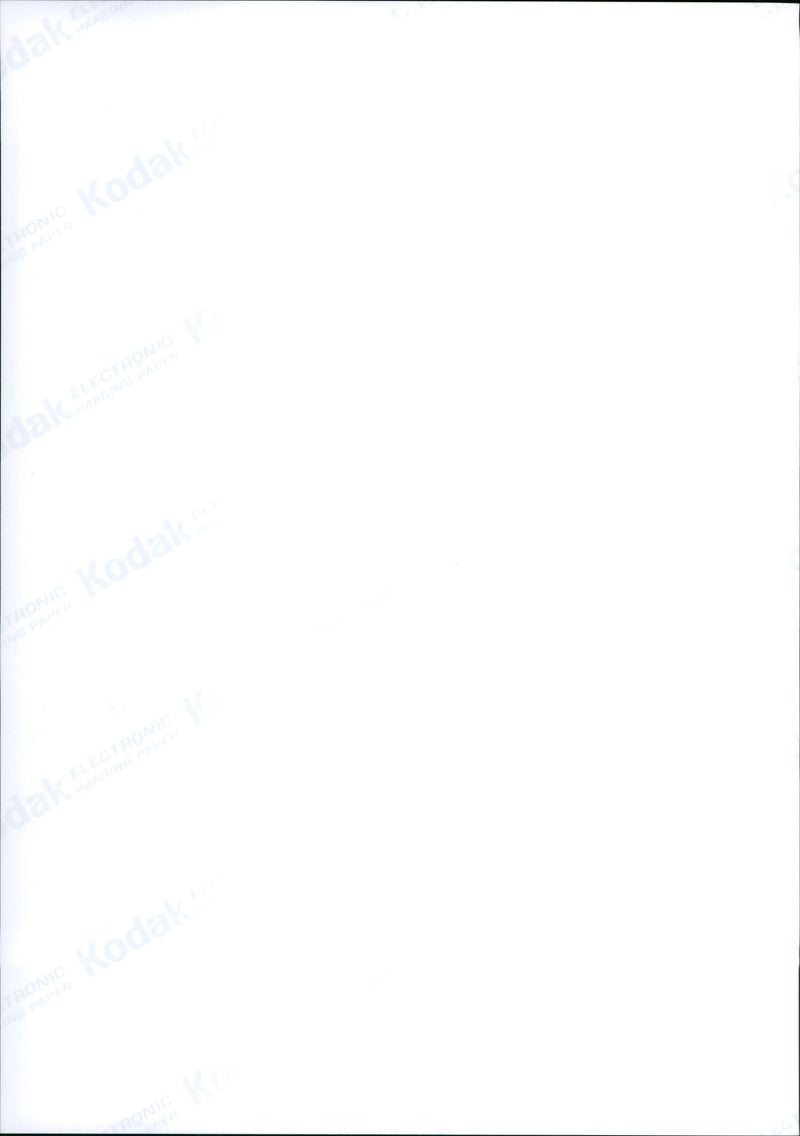 1999 GIRAFFE MONIQUE CLEANS HER THREEMONTH OLD ZOGLING FAHARI FRANKFURT LAMA - Vintage Photograph