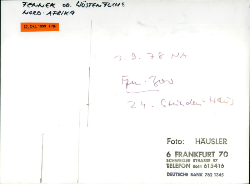 1999 ZOO GERMAN BASED JOHANNESBURG AFRICA FOUNDED - Vintage Photograph