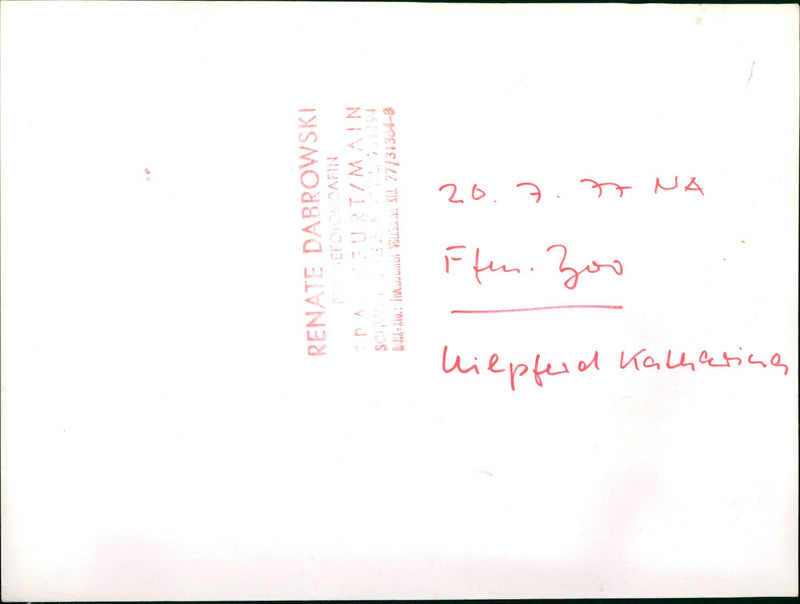 JEODE EFTERAFIN PURT MAIN LAEDIA FINA VASI VISA - Vintage Photograph