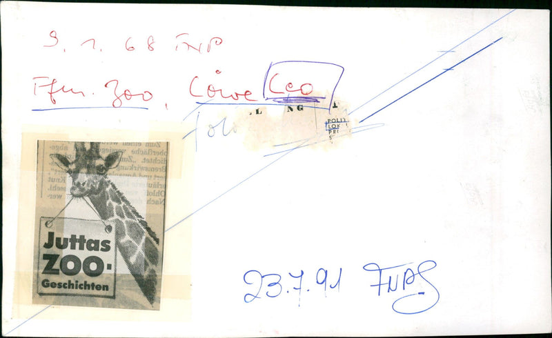 Lion "Leo" from the Frankfurt Zoo - Vintage Photograph