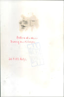 Antelopes from the Frankfurt Zoo - Vintage Photograph