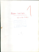 Antelopes from the Frankfurt Zoo - Vintage Photograph