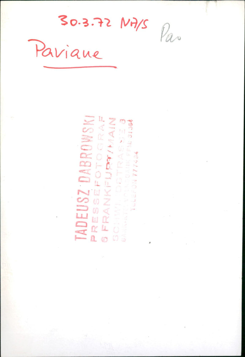 1972 PRESSEPOTOGRAPH FRANKFUD AIN PARIQUE NILS FME - Vintage Photograph