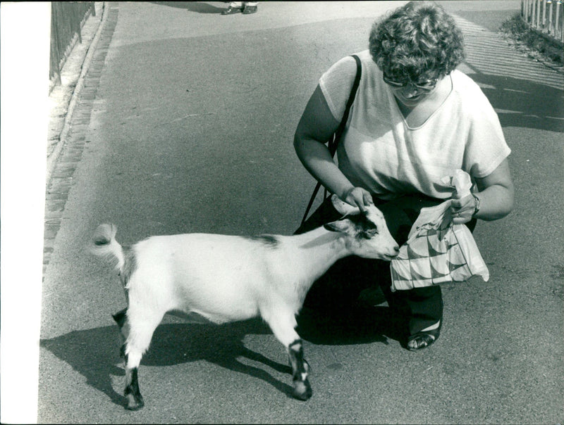 Eva Giesi - Vintage Photograph