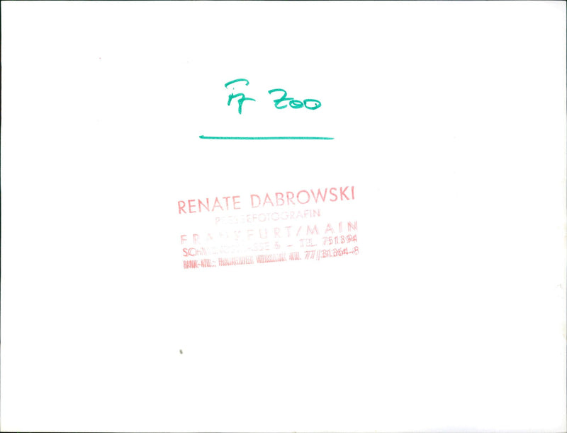 Goats and pigs in the Frankfurt Zoo - Vintage Photograph