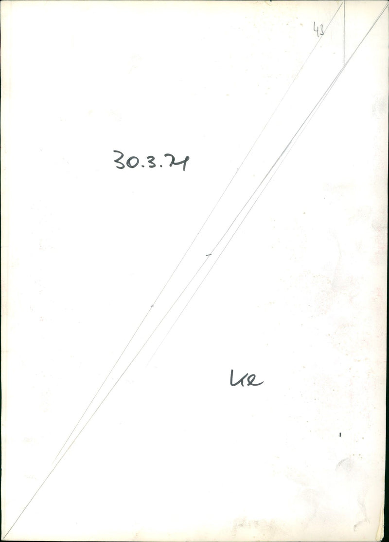 Goats in the zoo - Vintage Photograph