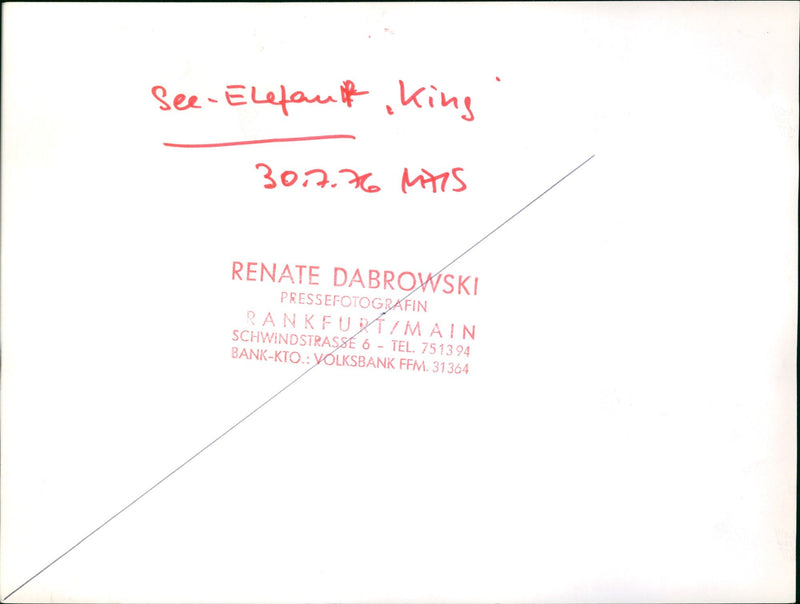 LAKE WALOO LAKE ELEPHANT KING MATS PRESPHOTOGRAPHER RANKF - Vintage Photograph