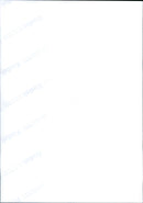 FRANKFURTERZOO HAS RECEIVED OFFSPRING PICTURE THURSDAY SHOWS - Vintage Photograph