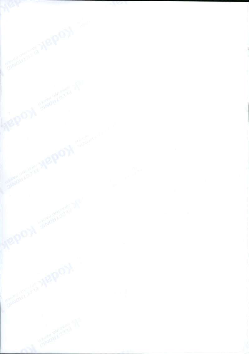 FRANKFURTERZOO HAS RECEIVED OFFSPRING PICTURE THURSDAY SHOWS - Vintage Photograph