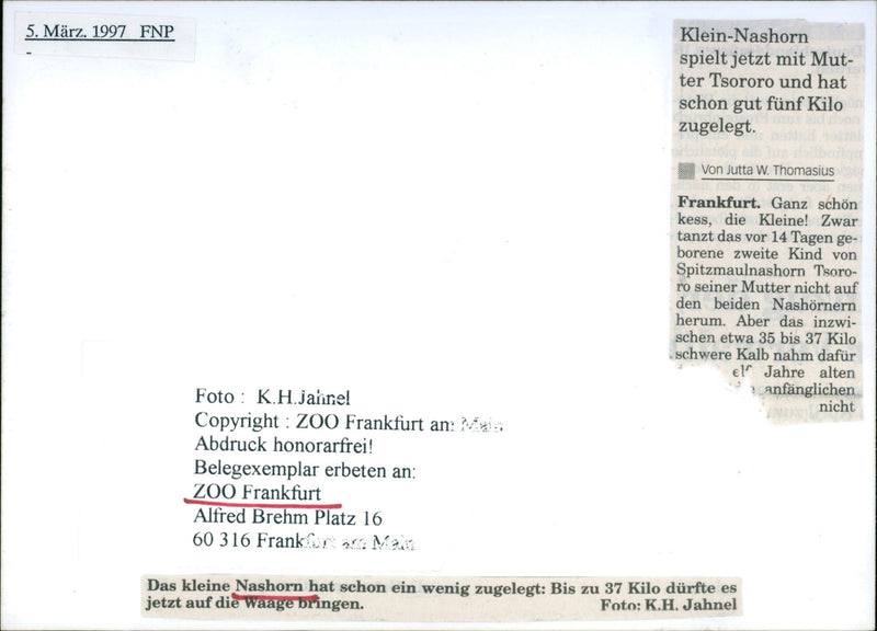 Frankfurt Zoo - Vintage Photograph