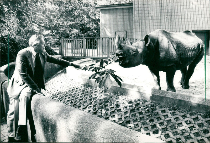 Frankfurt Zoo - Vintage Photograph