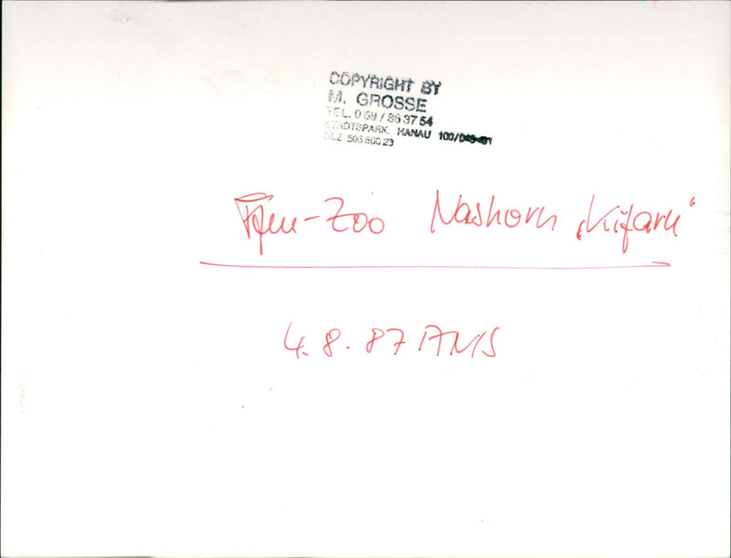 Frankfurt Zoo - Vintage Photograph