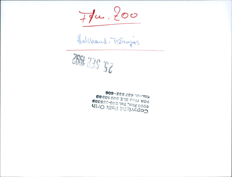 1992 TIENE BIRD CHICKENS FIM TEL PGA KTO LAUGH GOS SOLONG - Vintage Photograph