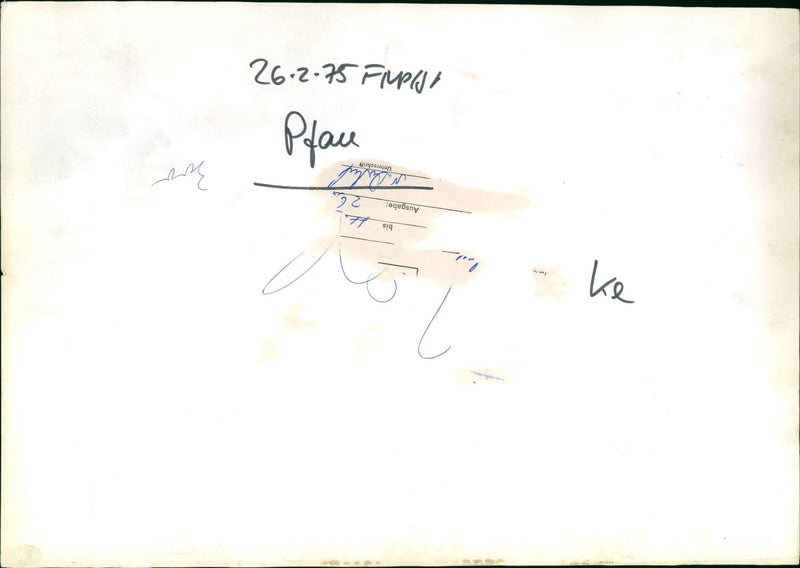 Peacocks from Frankfurt Zoo - Vintage Photograph