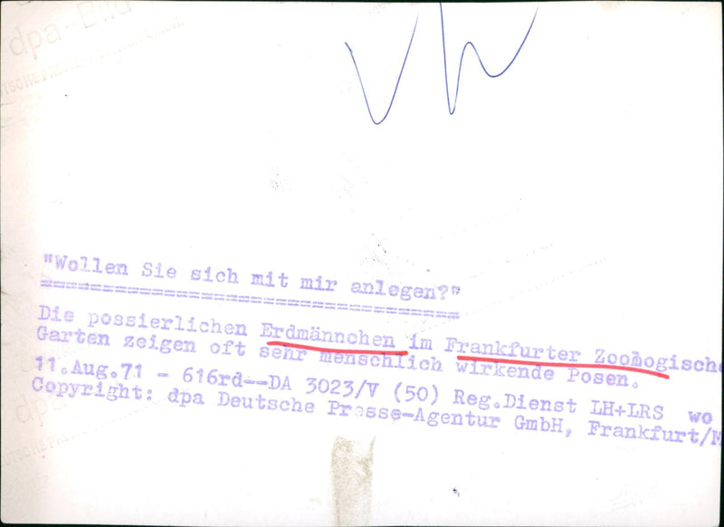 DMANNCHEN YOU CAN USE CREATE OSSIBLE EARTHMEN FRANKFURT ZOO - Vintage Photograph