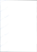 1998 ANIMALS ERDJESHEL SMALL SAW AFTER SEVEN MONTHS GEST - Vintage Photograph