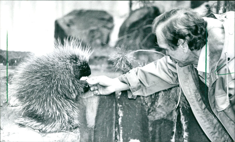 TACHLER ANIMAL CAREGIVER BARTUSCH LAT THE BAUMSTACHLER MANNCHE AMERICAN - Vintage Photograph