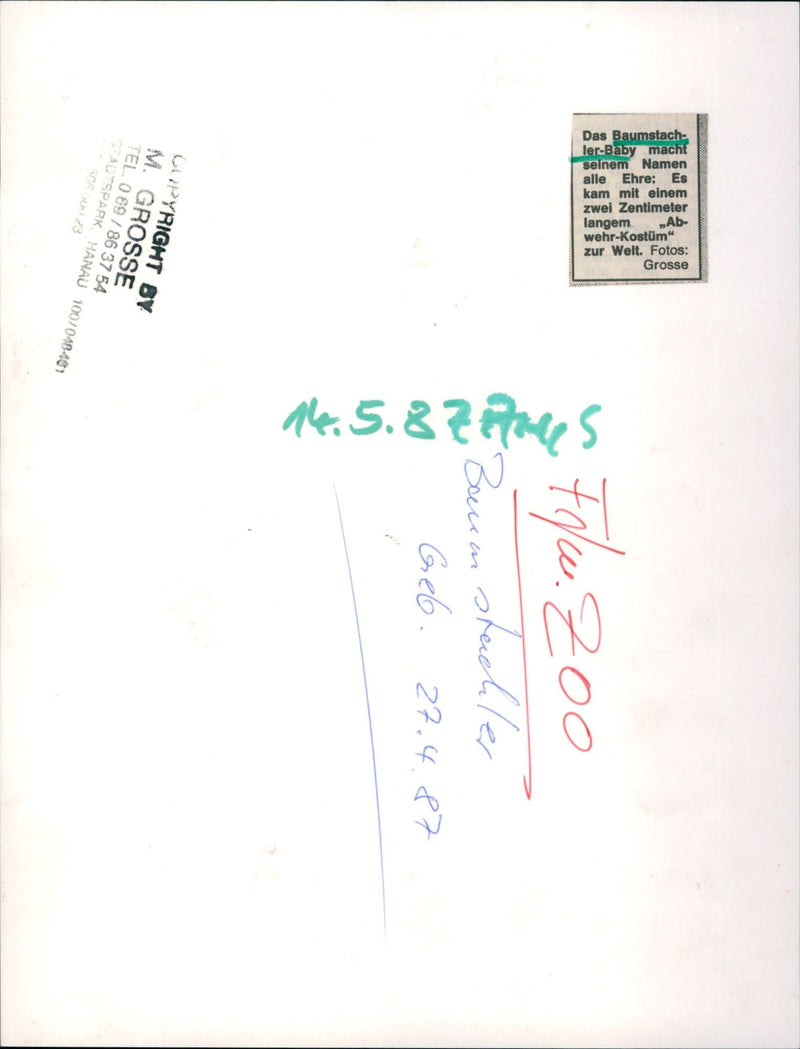 1987 TACHLER ZOO TREE STUCHLER PNES GEB WAPYRIGHT TEL GROSSE - Vintage Photograph