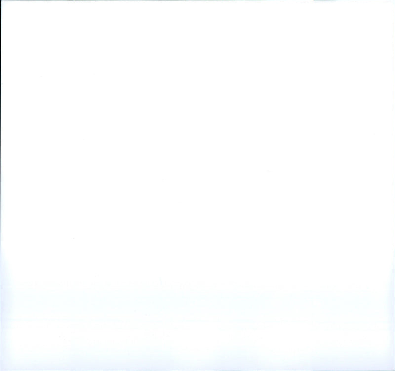 TACHLER LONG NEER PIG LIKE MAGPIES ARE NOCTURNAL - Vintage Photograph