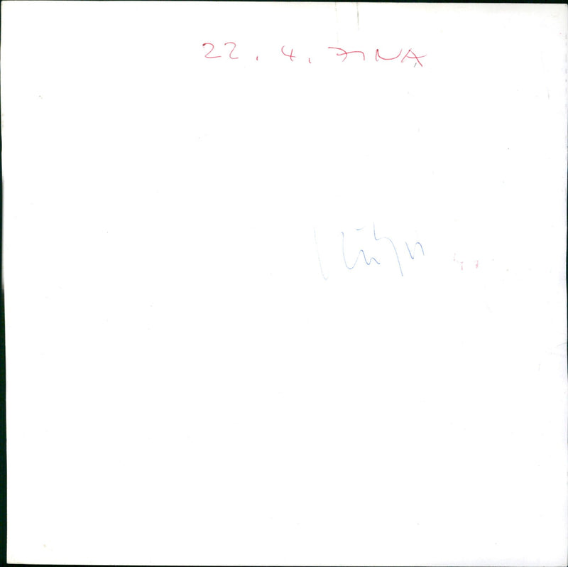 Zoo animals: bear - Vintage Photograph