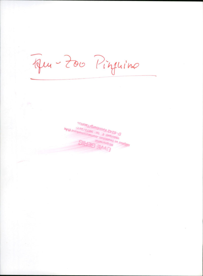 penguin - Vintage Photograph