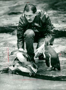 Karsten Schmidt together with Pinguine - Vintage Photograph