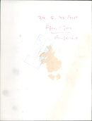 Penguins - Vintage Photograph