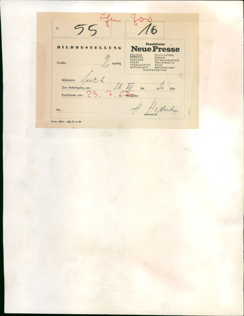 Penguins with a seal - Vintage Photograph