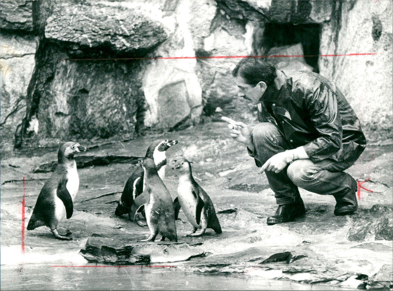 Karsten Schmidt together with Pinguine - Vintage Photograph