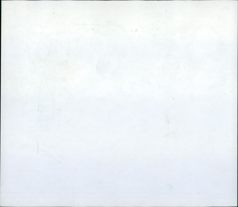 1989 polar bears in the Frankfurt Zoo - Vintage Photograph