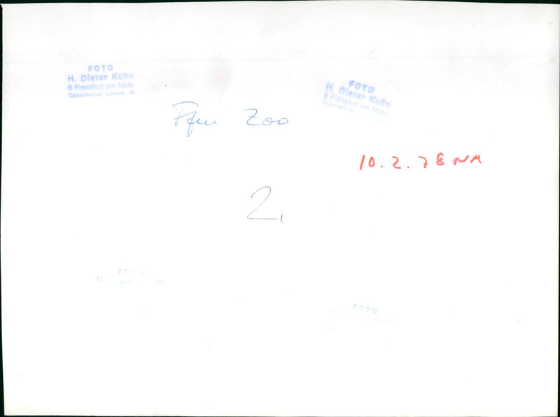 1978 DIETER KANIN FUN ZOO ROQS OOZ ROQUES ROQES ROQQE - Vintage Photograph