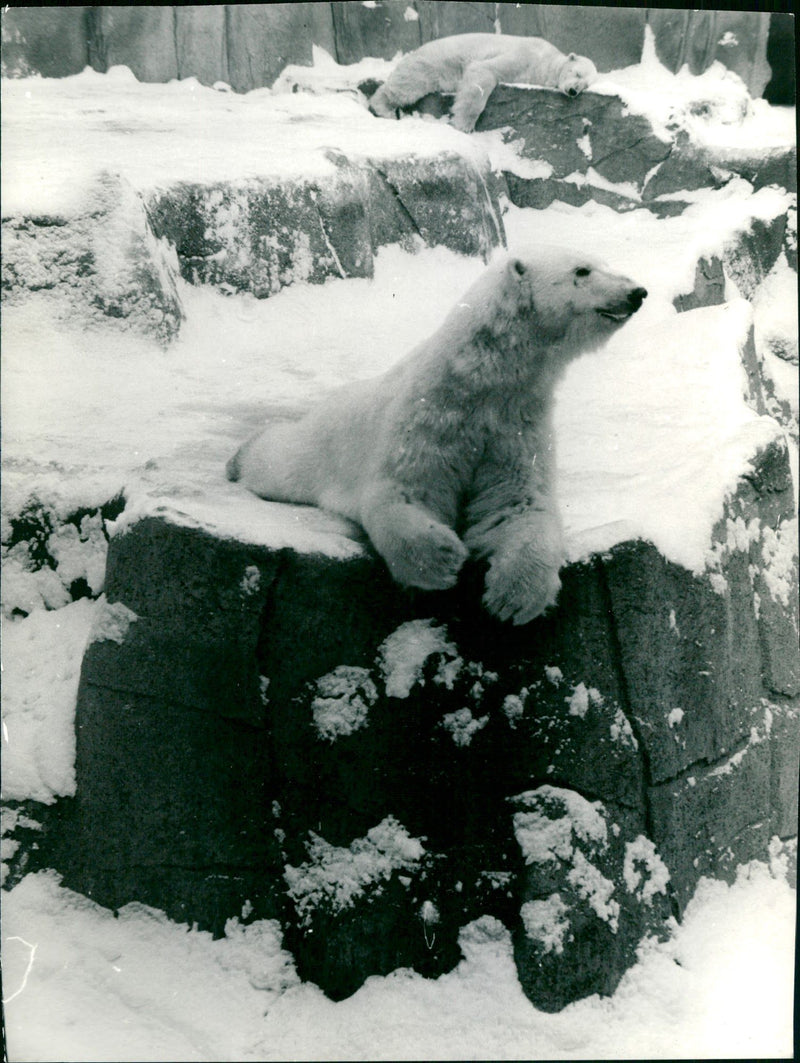 1970 ROQS NEW PRESS GROE GAGES ANGRIGER POLITIK FRUILLETON LOCAL PROVINCE - Vintage Photograph