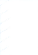 BIRD ANIMALS YOUNG KIWIS FRANKFURT ZOO PLUMAGE LOOKS LIKE RATHER - Vintage Photograph