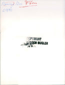 Flamingos - zoo animals - Vintage Photograph